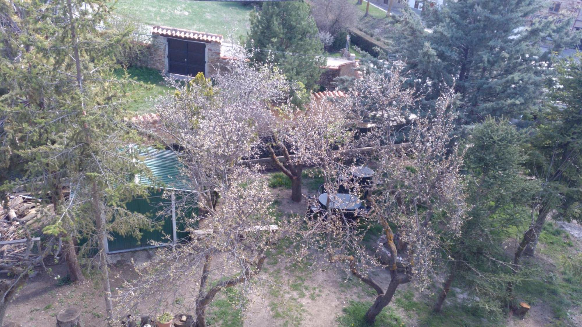 Casa Rural Chulilla Villarroya de los Pinares Exterior foto